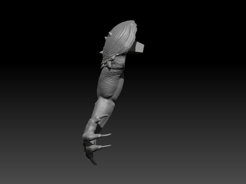 STAR WARS RANCOR TAMER GIRL PIN UP 3D print model_50