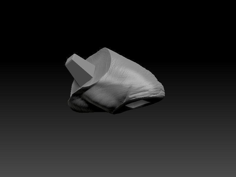 STAR WARS RANCOR TAMER GIRL PIN UP 3D print model_59