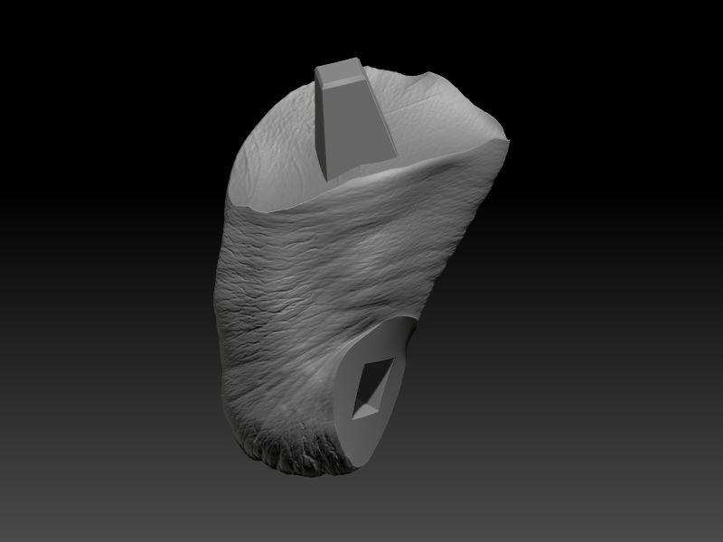 STAR WARS RANCOR TAMER GIRL PIN UP 3D print model_61