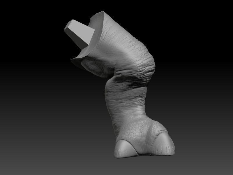 STAR WARS RANCOR TAMER GIRL PIN UP 3D print model_51