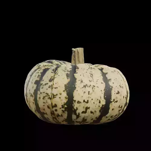 Pumpkin 2 3D model