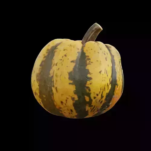 Pumpkin 1 3D model