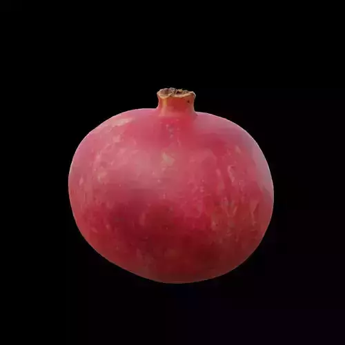 Pomegranate 2 3D model