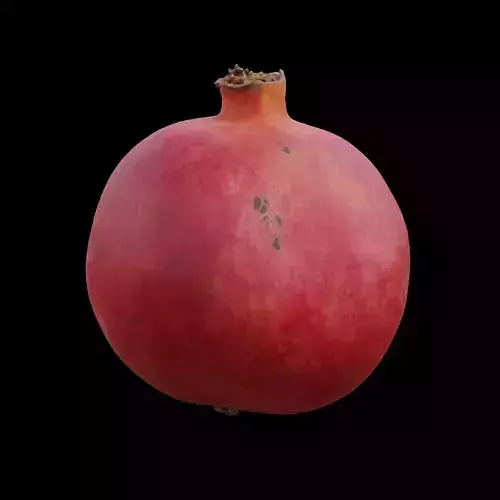 Pomegranate 1 Low-poly 3D model