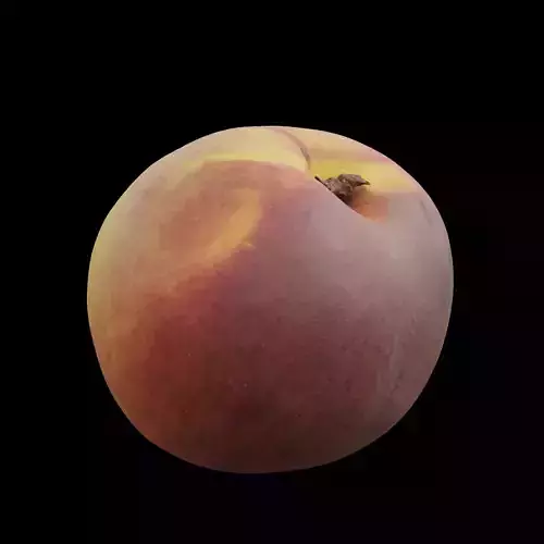 Peach 1 3D model