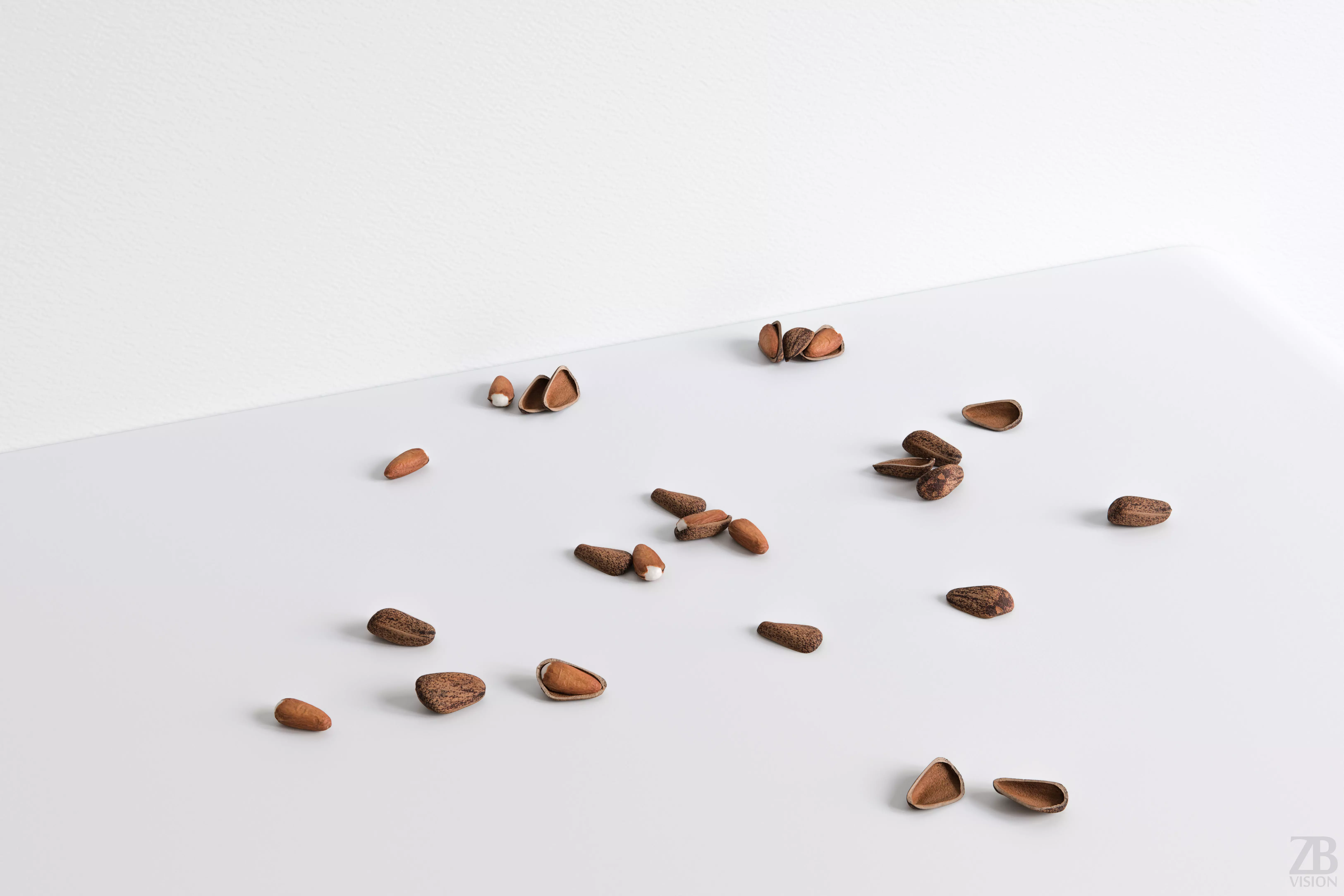 Pine Seed 3D model_0