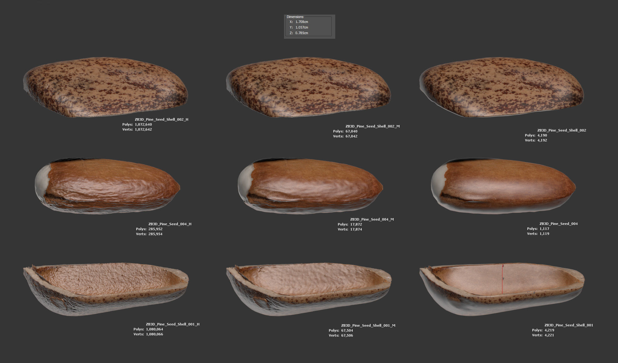 Pine Seed 3D model_5