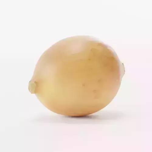 Onion 1 3D model