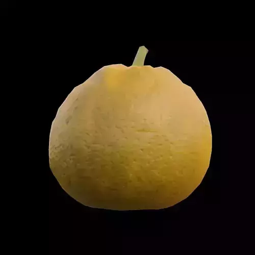 Mandarin 2 3D model