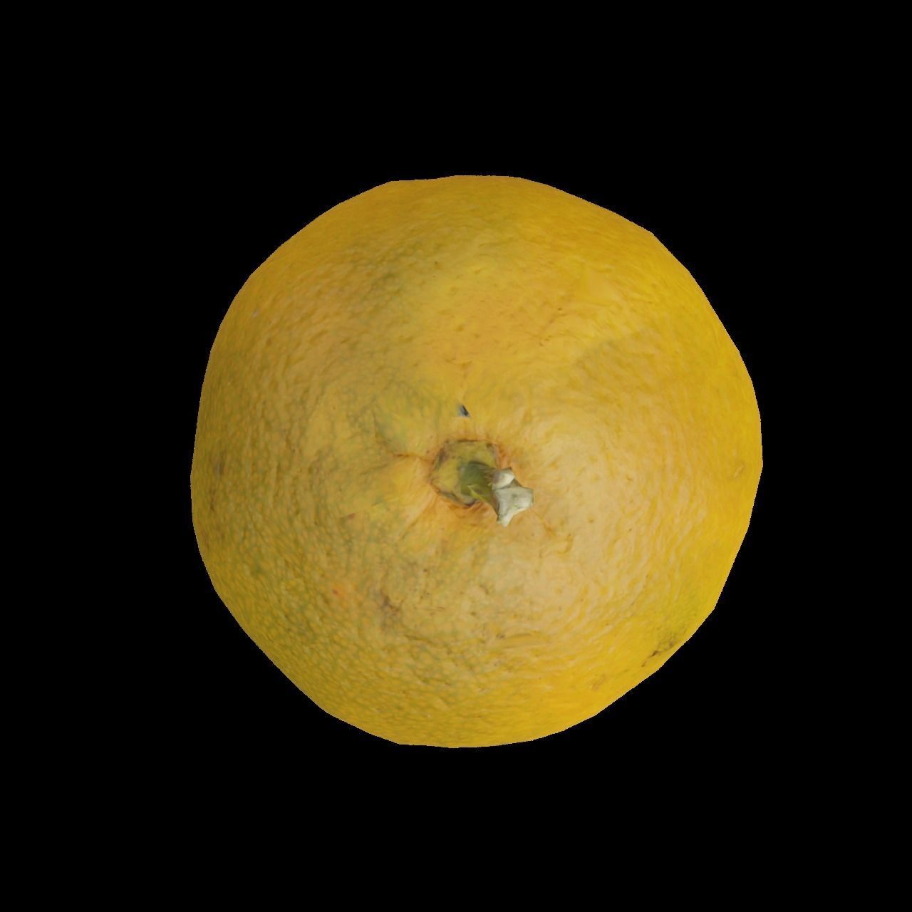 Mandarin 1 3D model_4