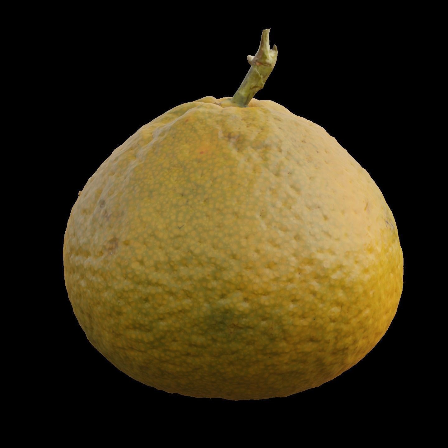 Mandarin 1 3D model_2