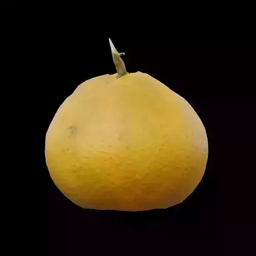 Mandarin 1 3D model
