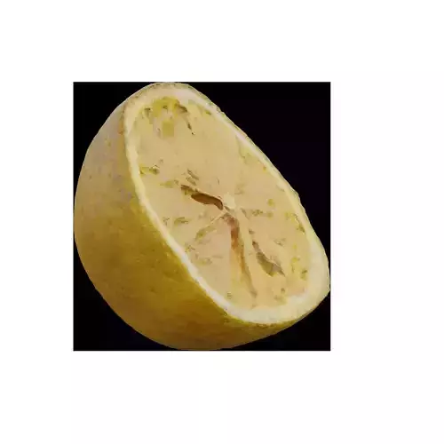 Lemon 2 3D model