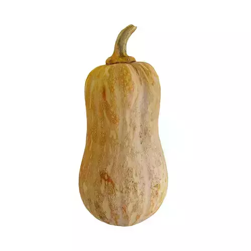 Pumpkin - Photogrammetry 3D model