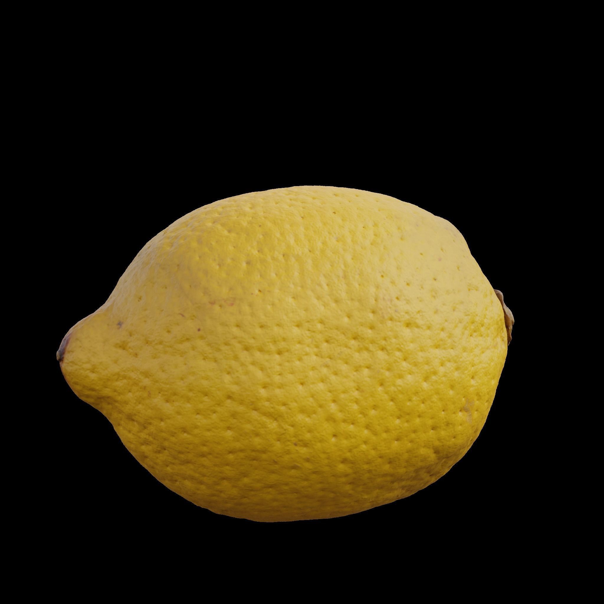 Lemon 1 3D model_5