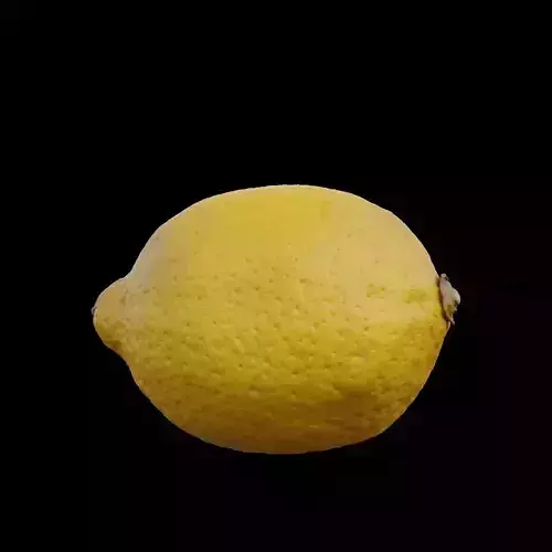 Lemon 1 3D model
