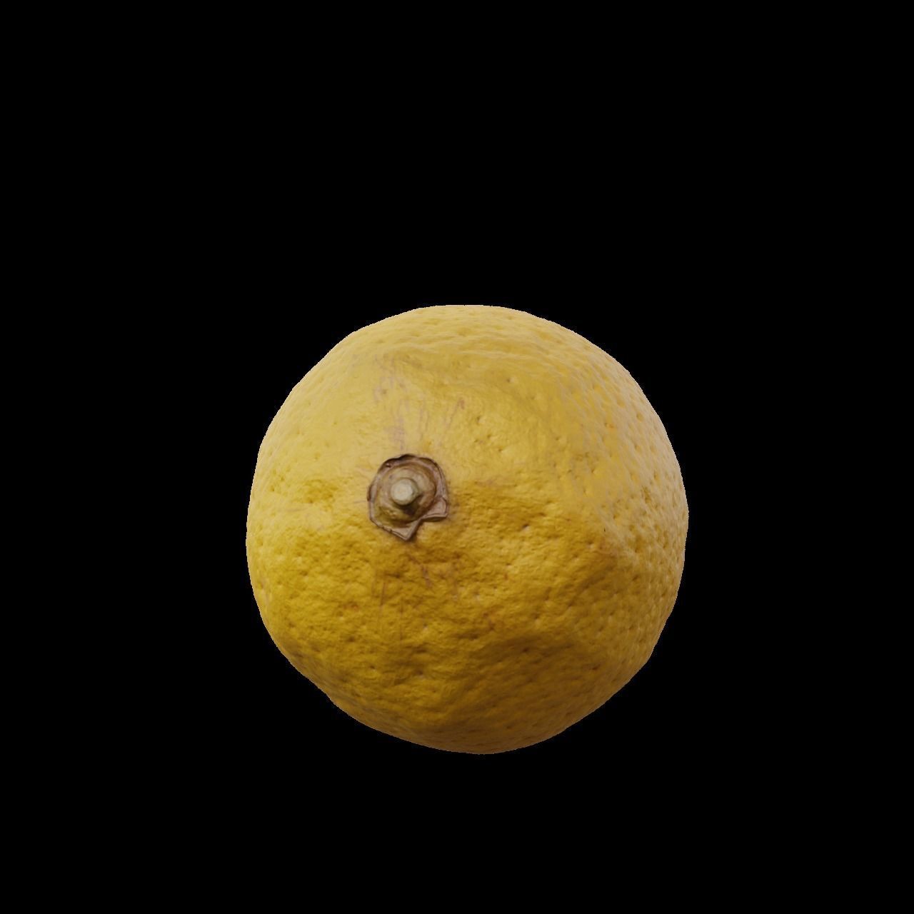 Lemon 1 3D model_3
