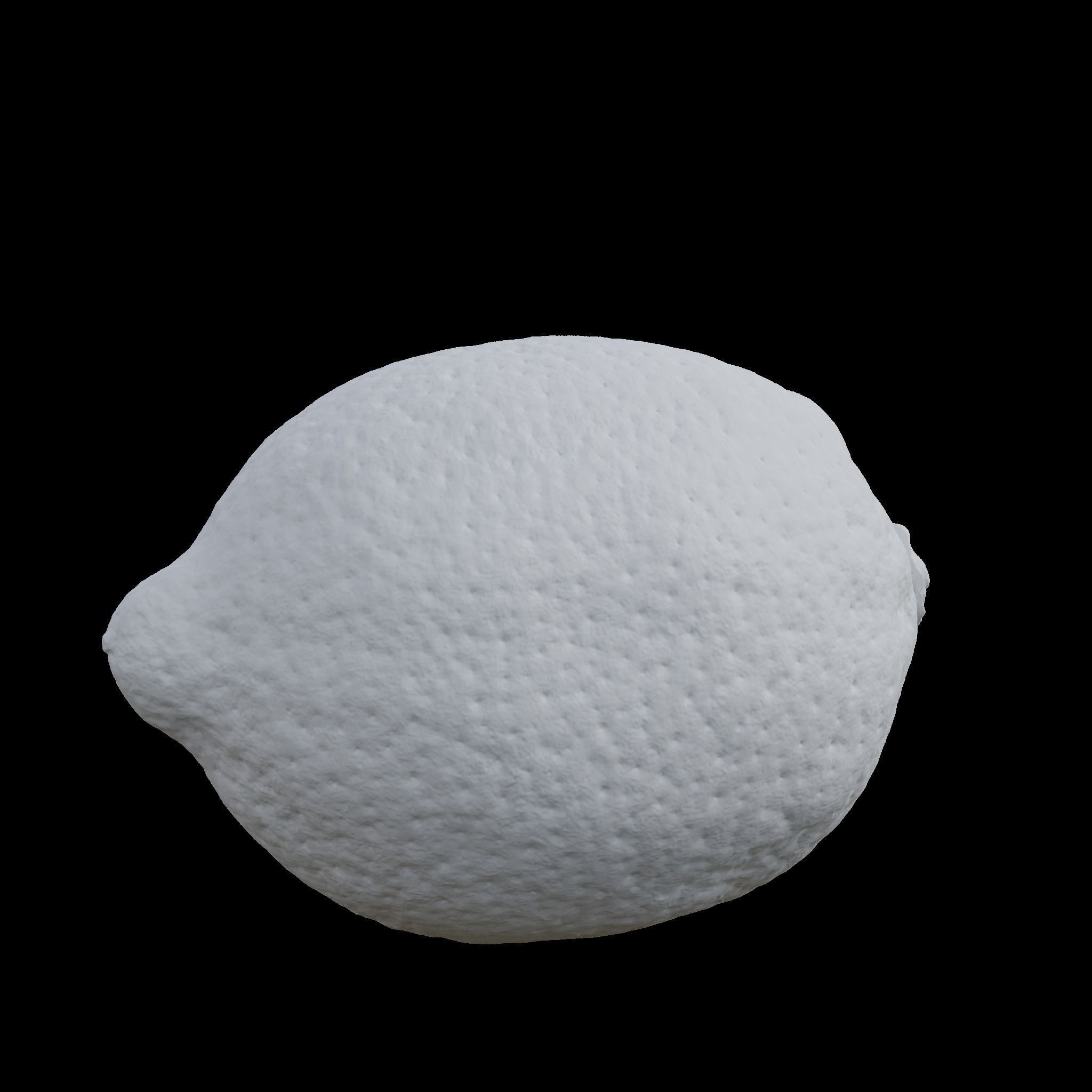 Lemon 1 3D model_2