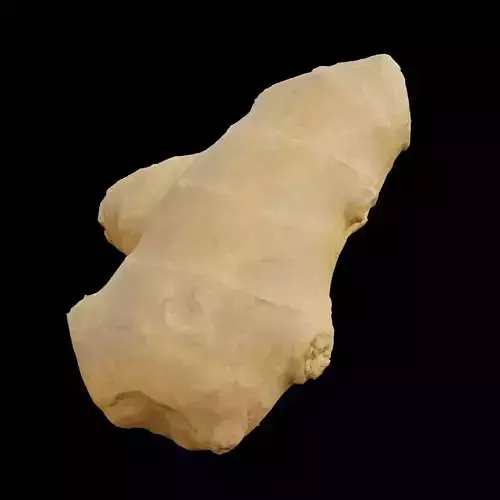 Ginger 1 Low-poly 3D model