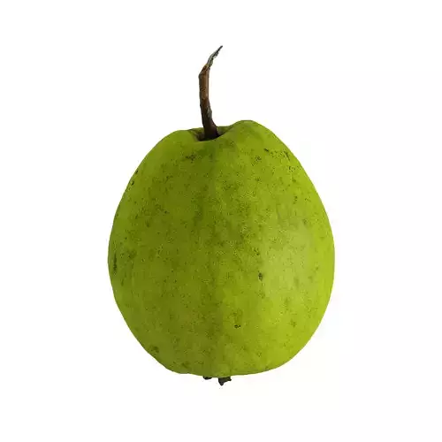 Guava - Photogrammetry  3D model