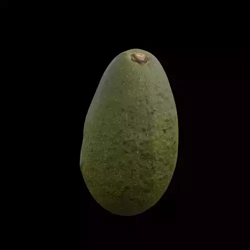 Avocado 1 3D model