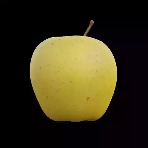 Apple 3 3D model