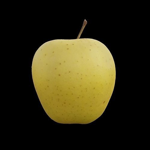 Apple 3 3D model 6
