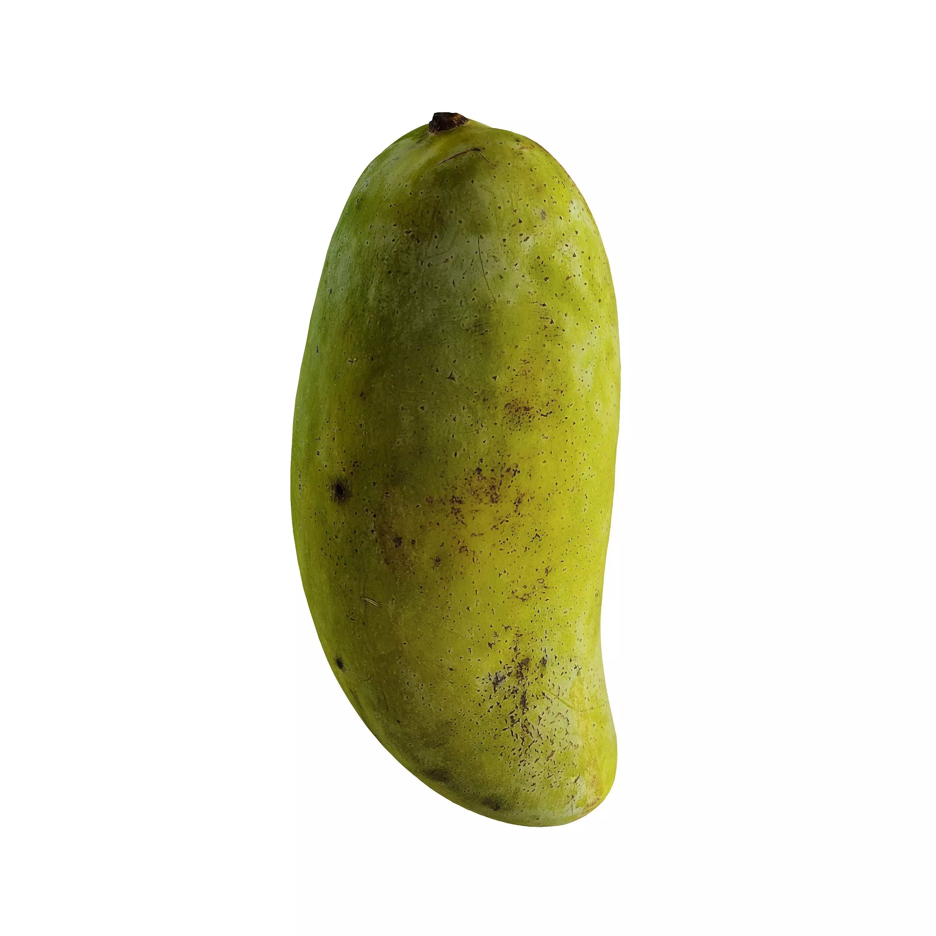 Mango - Mangifera indica L 3D model