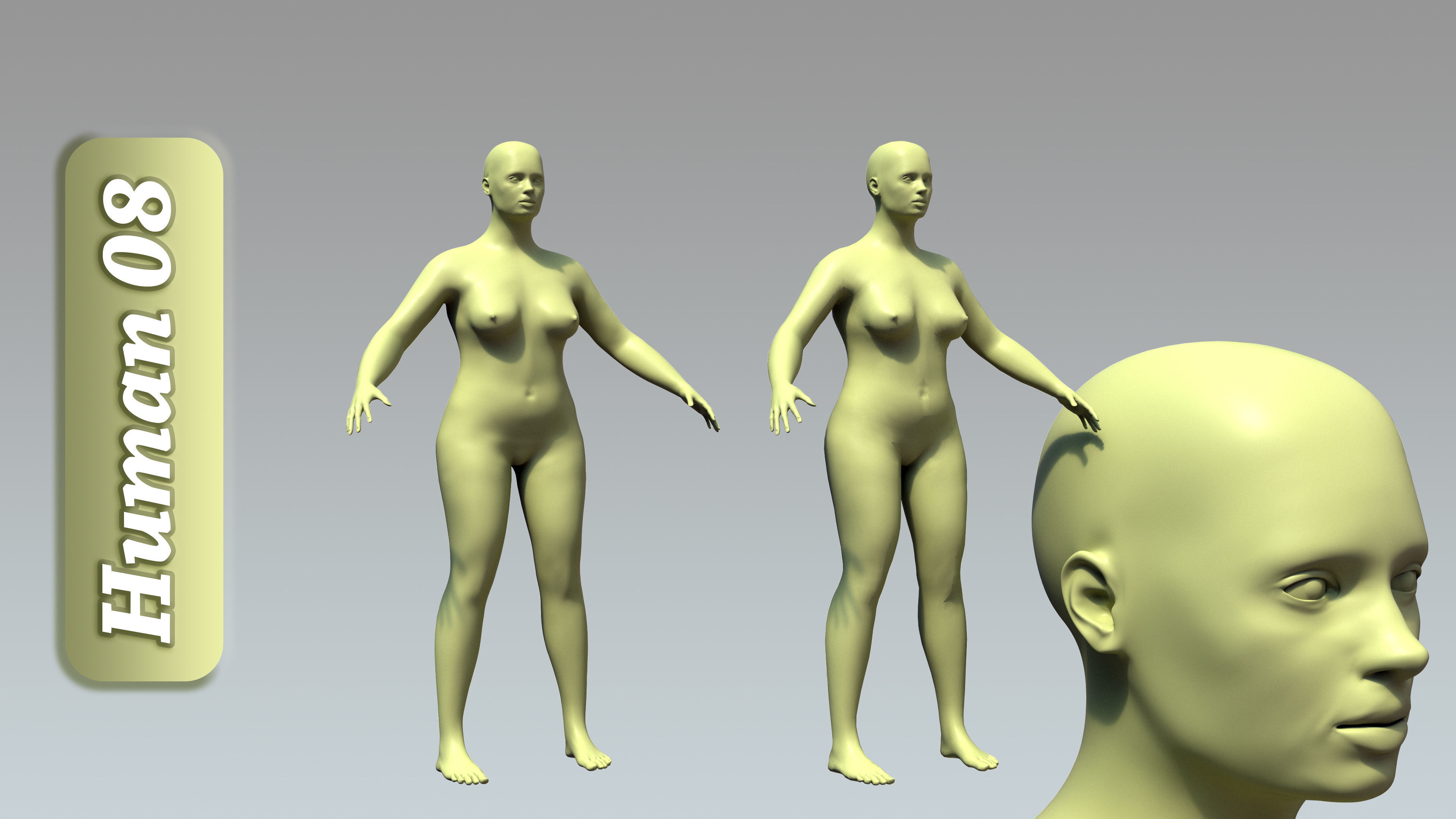 15 Rigged Female Character Basemesh 3D model_9
