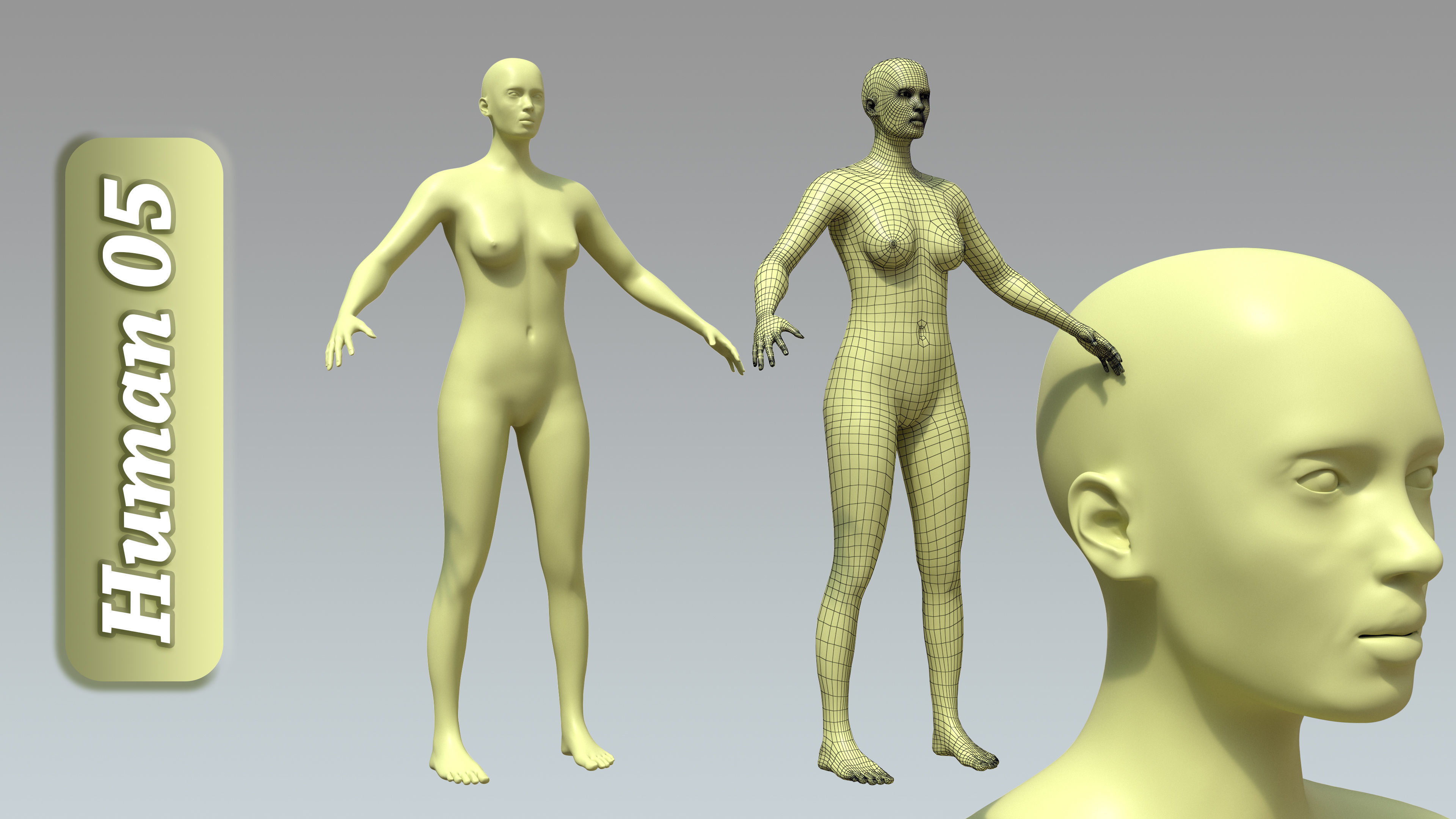 15 Rigged Female Character Basemesh 3D model_6