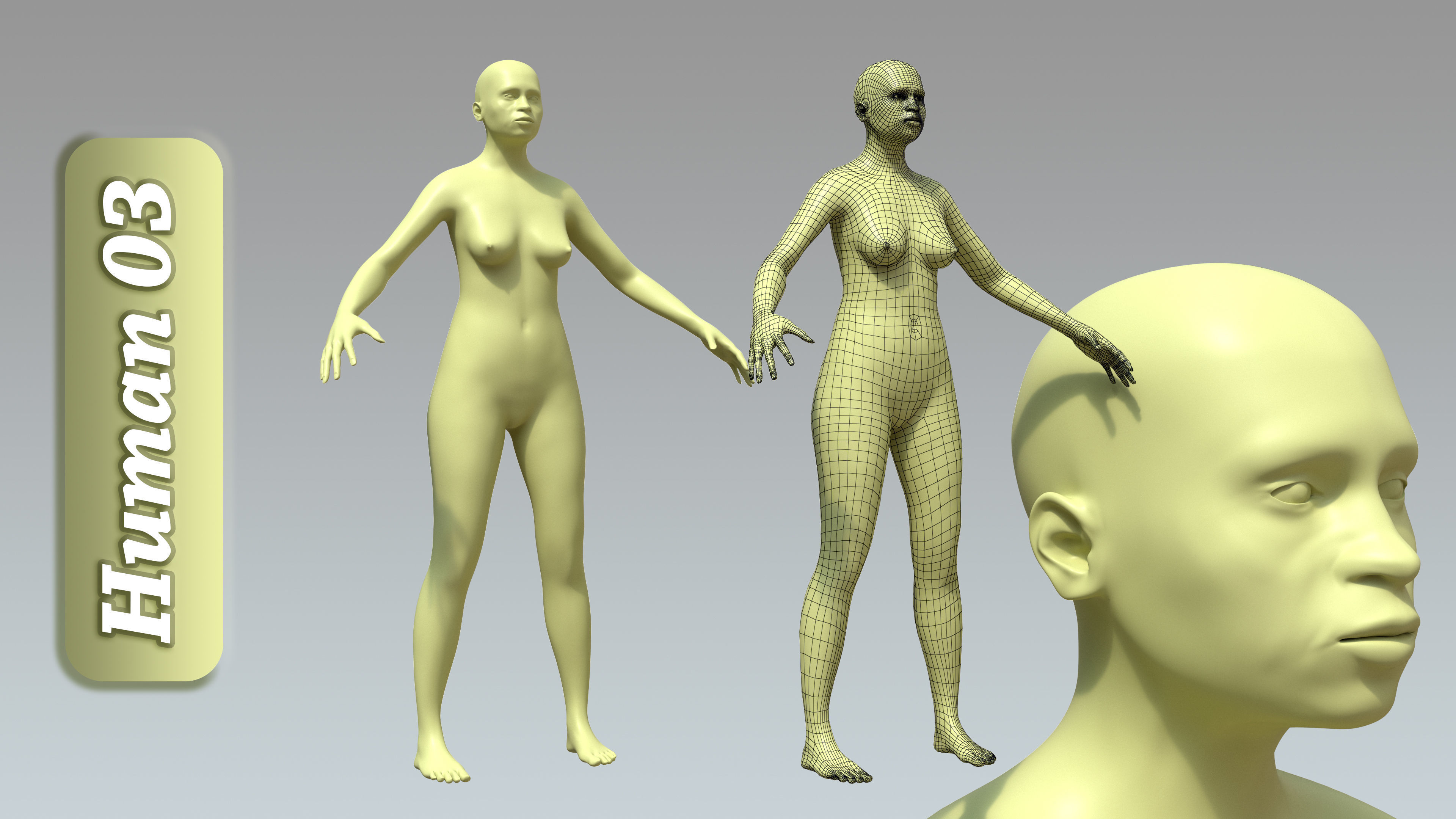 15 Rigged Female Character Basemesh 3D model_4