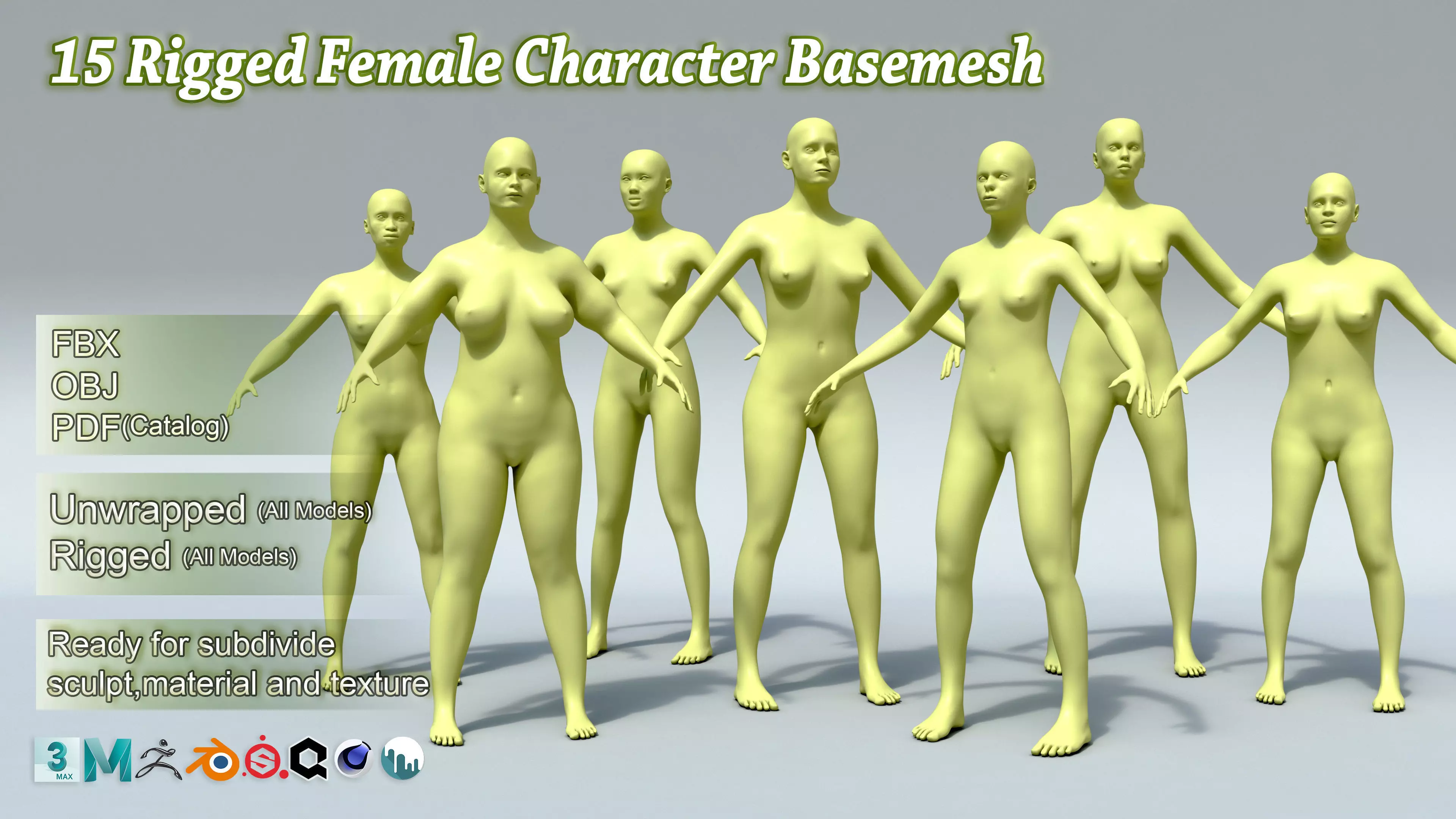 15 Rigged Female Character Basemesh 3D model_0
