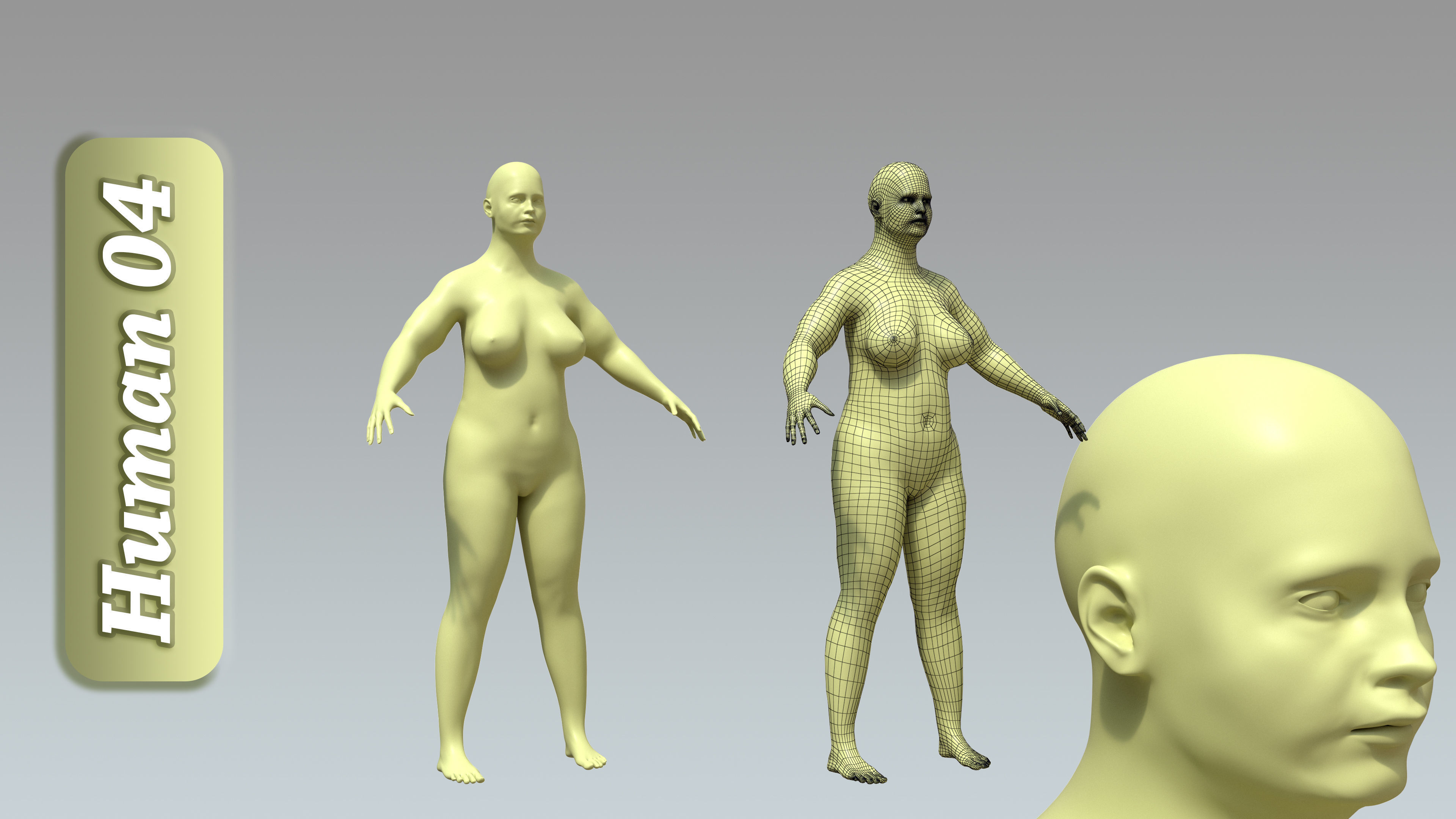 15 Rigged Female Character Basemesh 3D model_5
