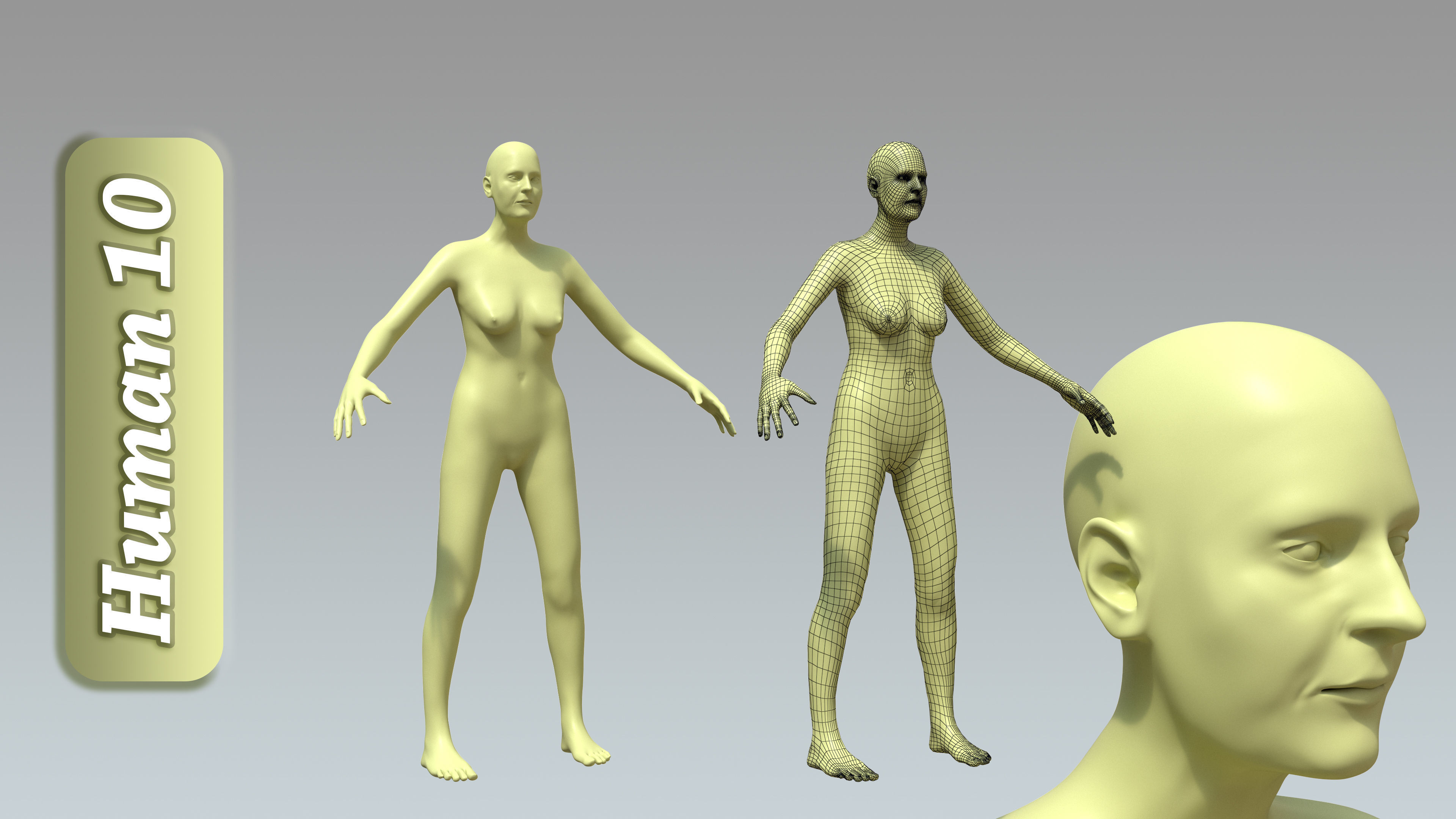 15 Rigged Female Character Basemesh 3D model_11