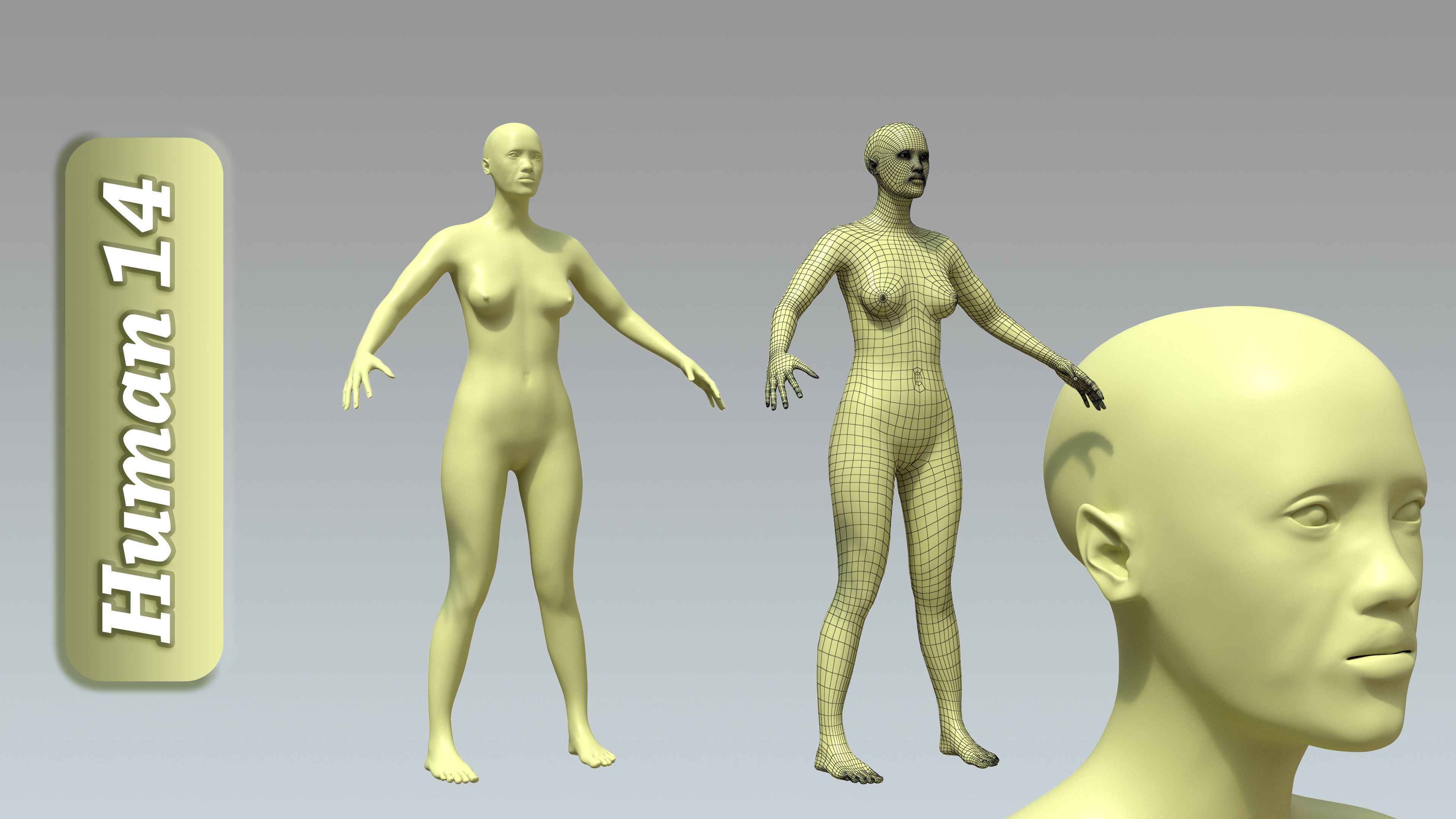 15 Rigged Female Character Basemesh 3D model_15