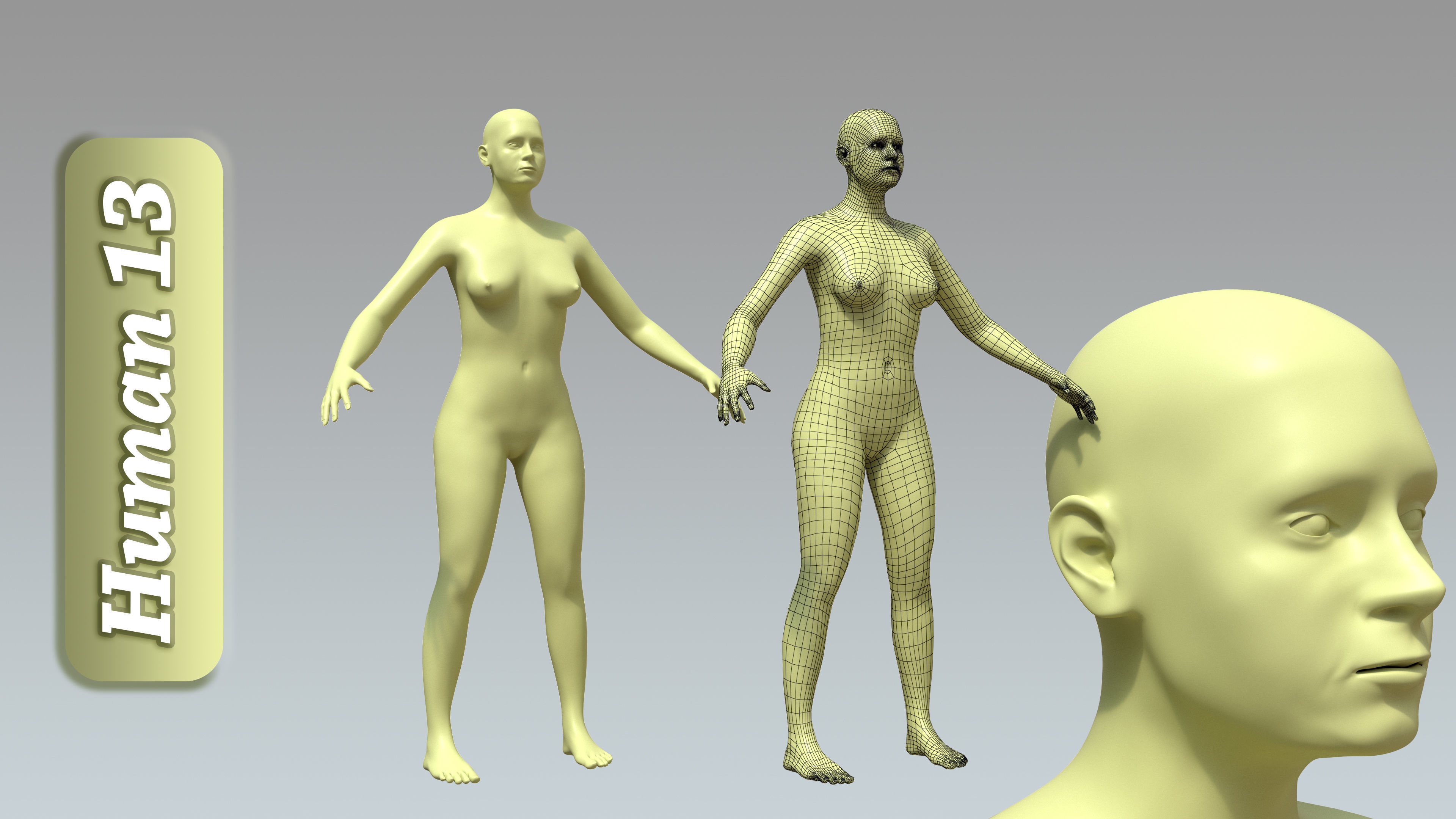 15 Rigged Female Character Basemesh 3D model_14