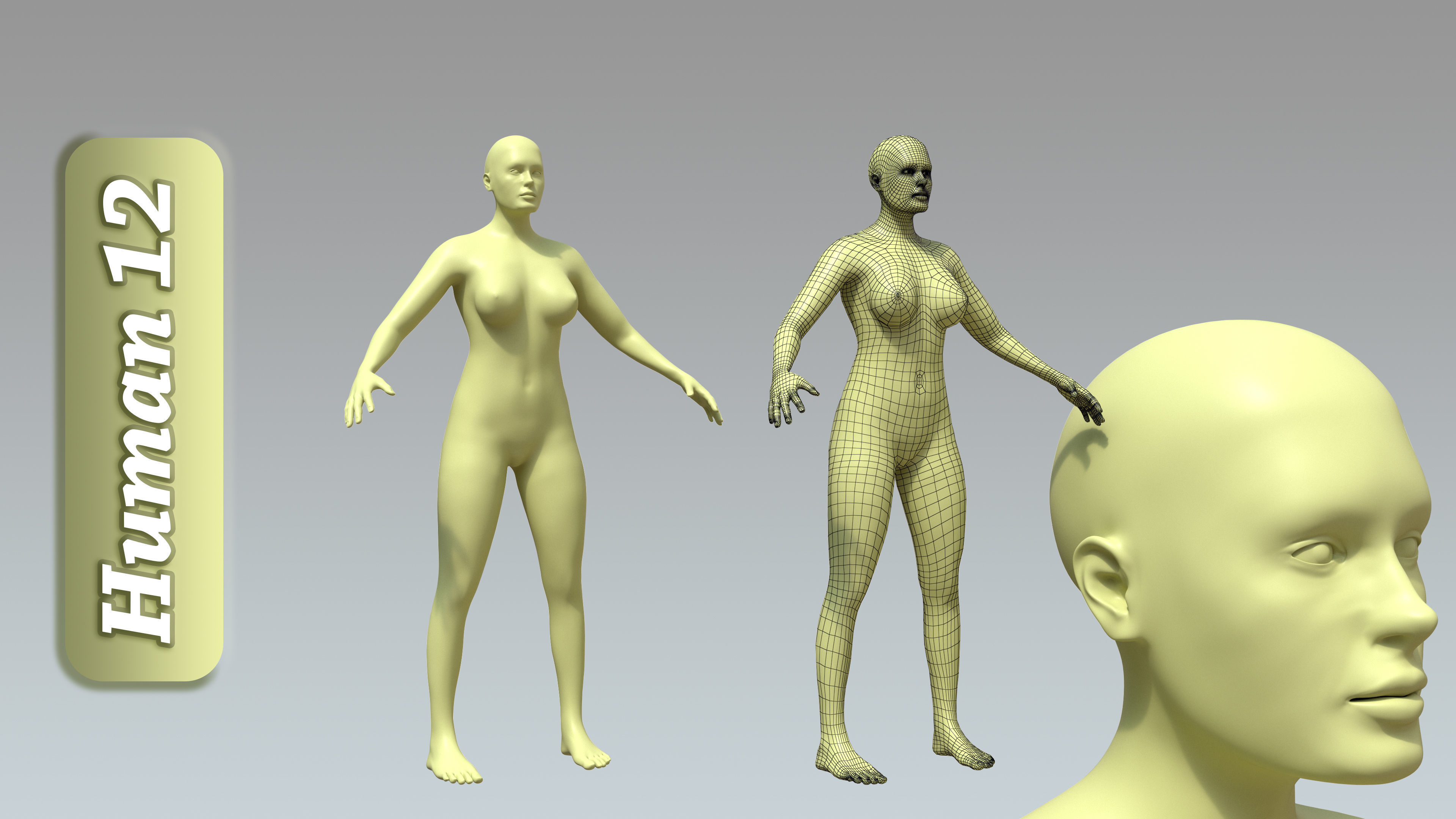 15 Rigged Female Character Basemesh 3D model_13