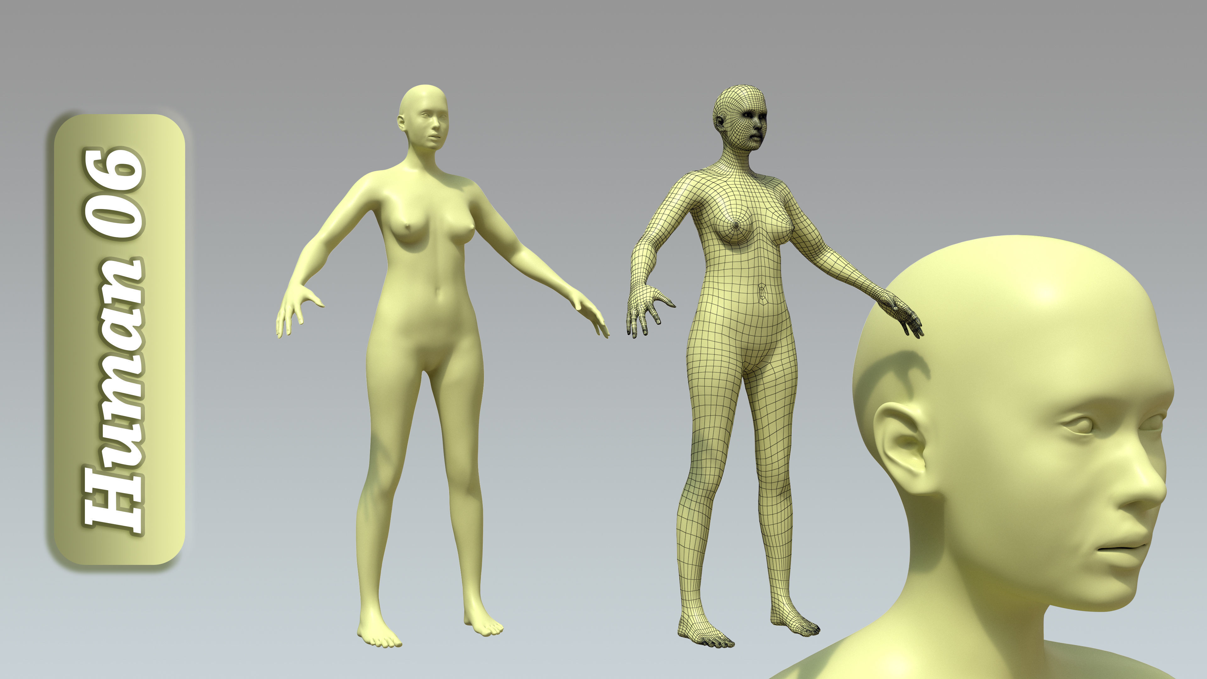 15 Rigged Female Character Basemesh 3D model_7