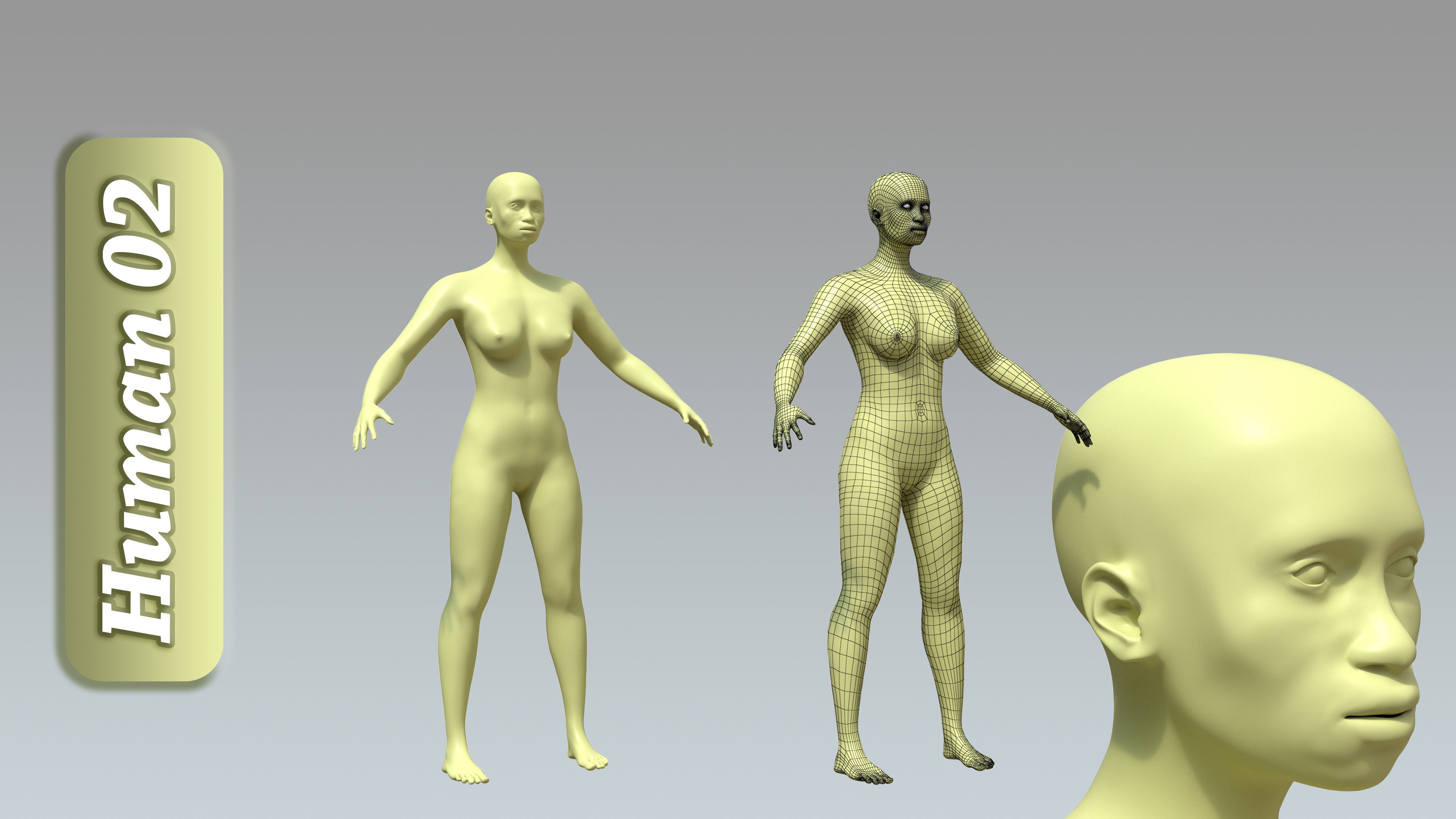 15 Rigged Female Character Basemesh 3D model_3