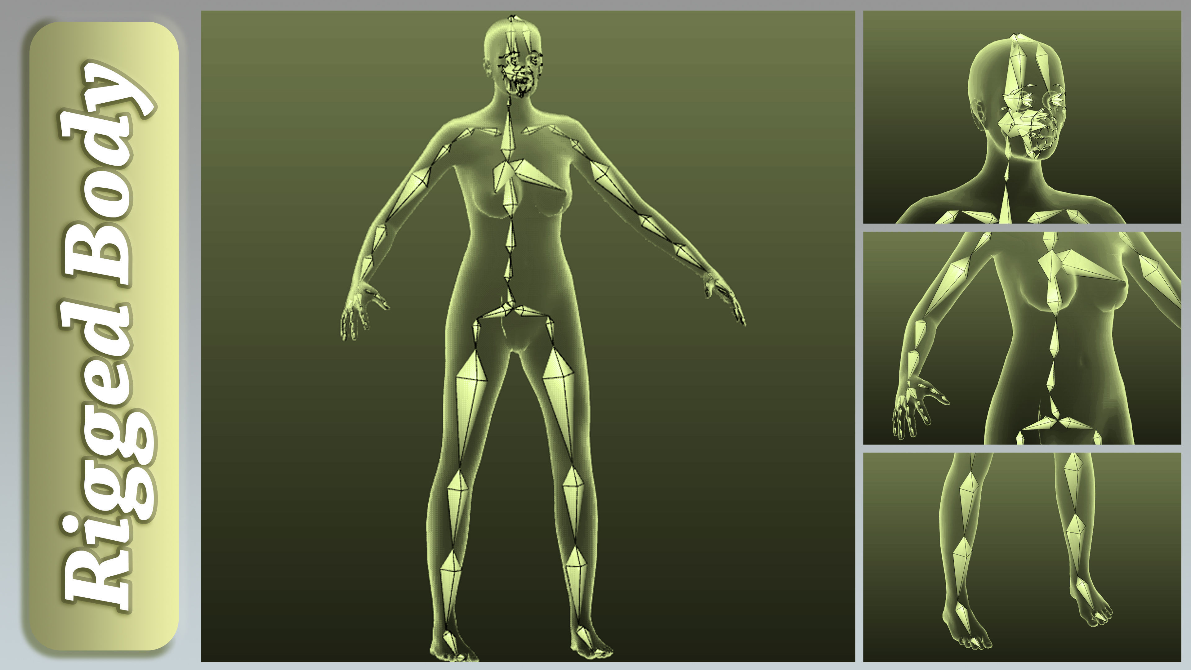 15 Rigged Female Character Basemesh 3D model_1