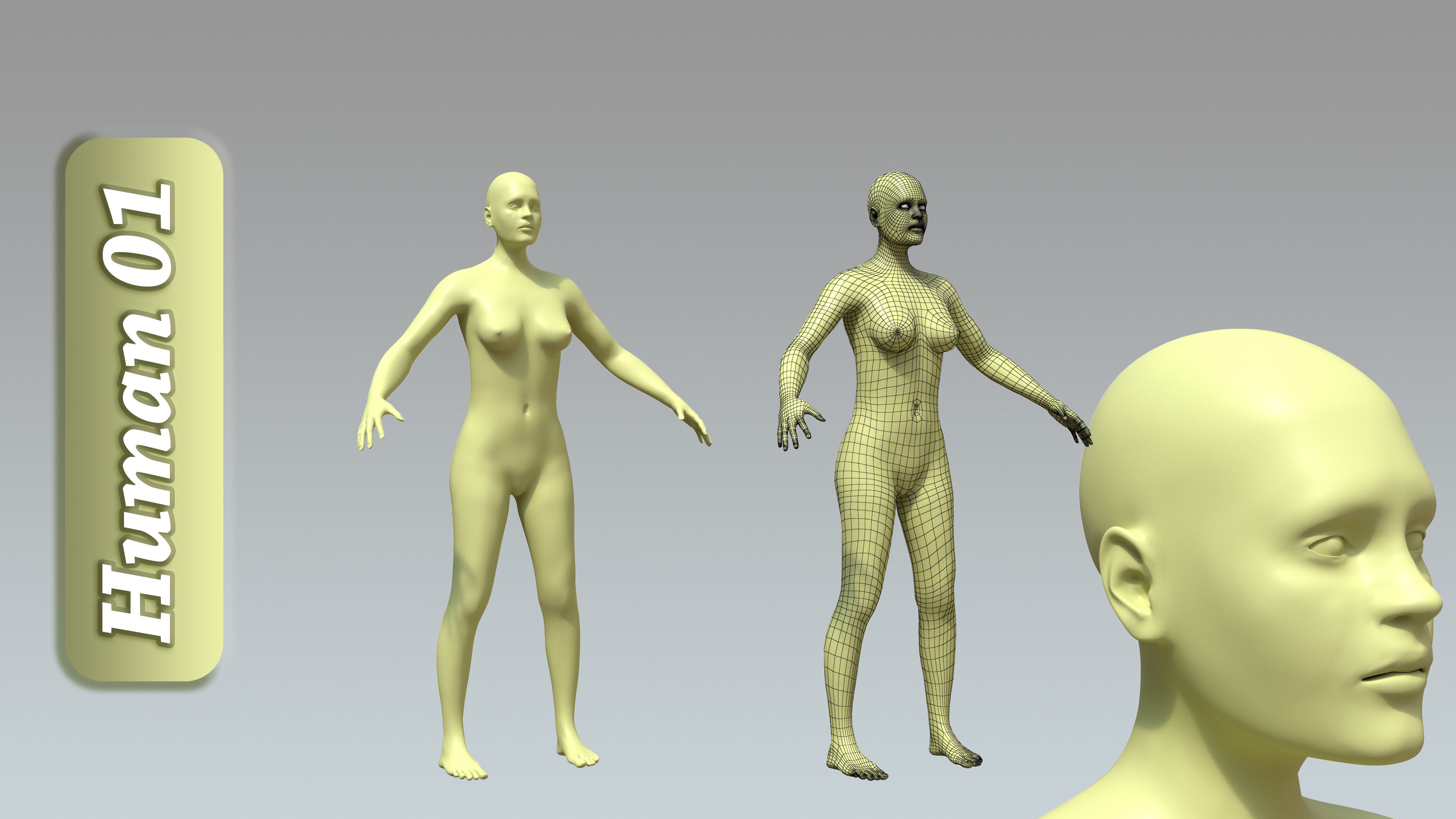 15 Rigged Female Character Basemesh 3D model_2
