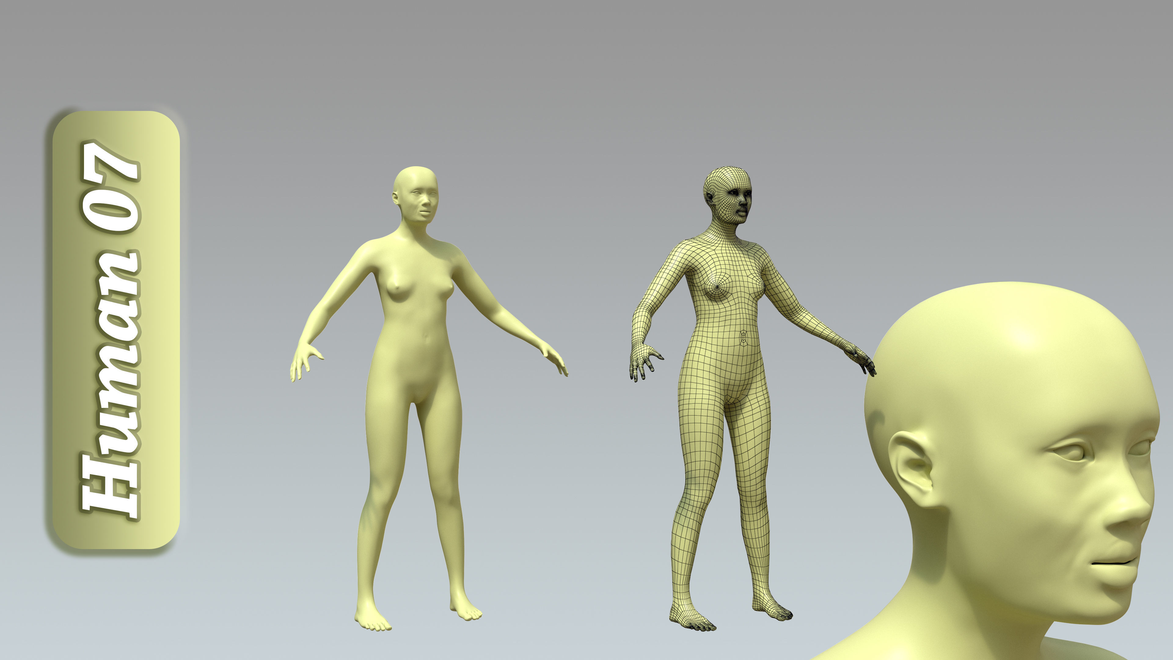 15 Rigged Female Character Basemesh 3D model_8