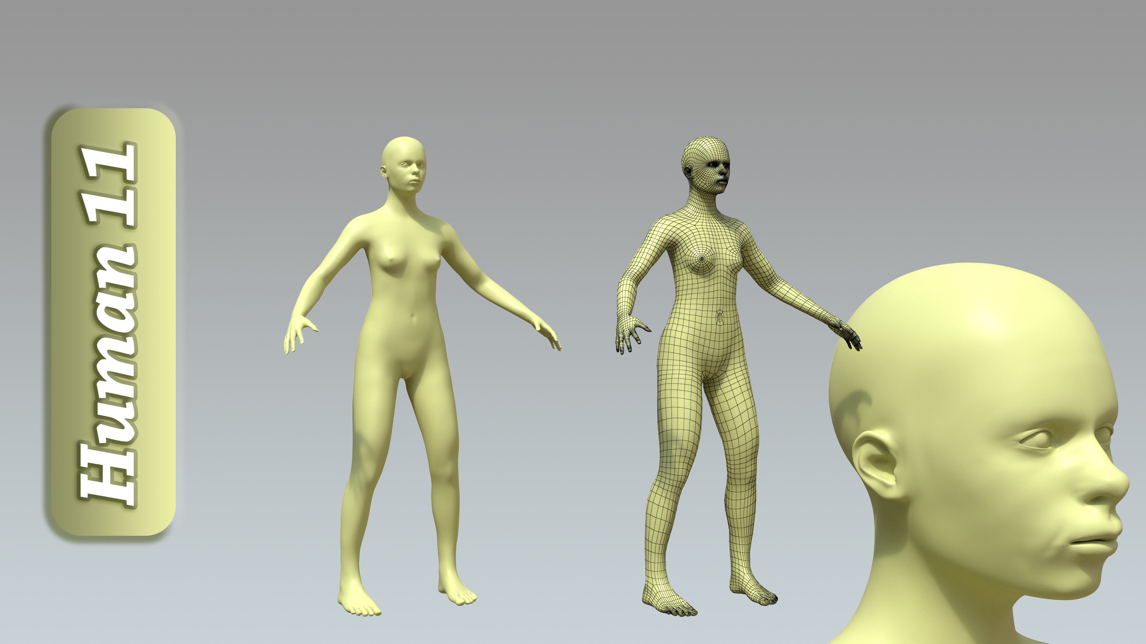 15 Rigged Female Character Basemesh 3D model_12