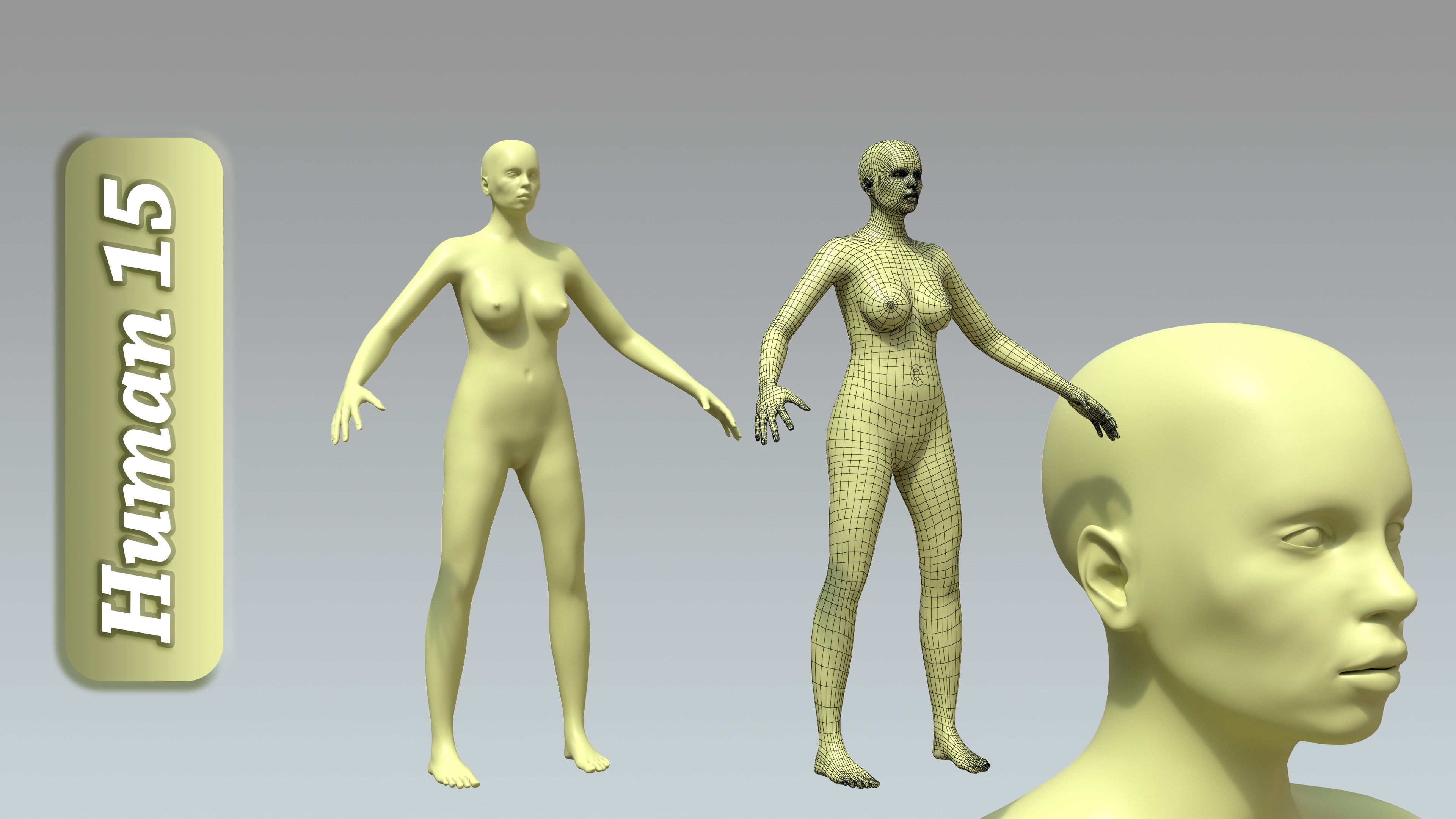 15 Rigged Female Character Basemesh 3D model_16