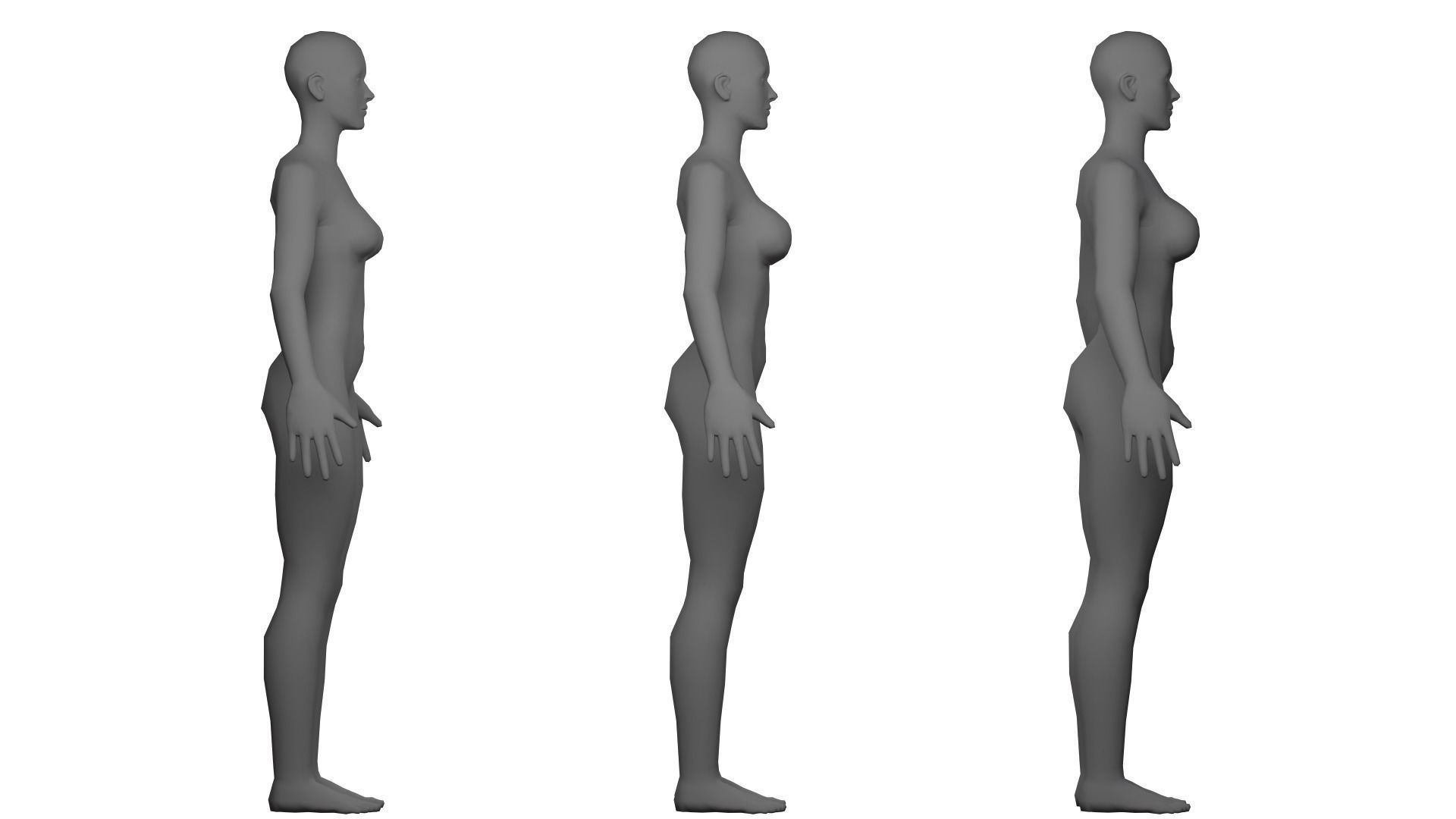 Female Basemesh 3D model_6