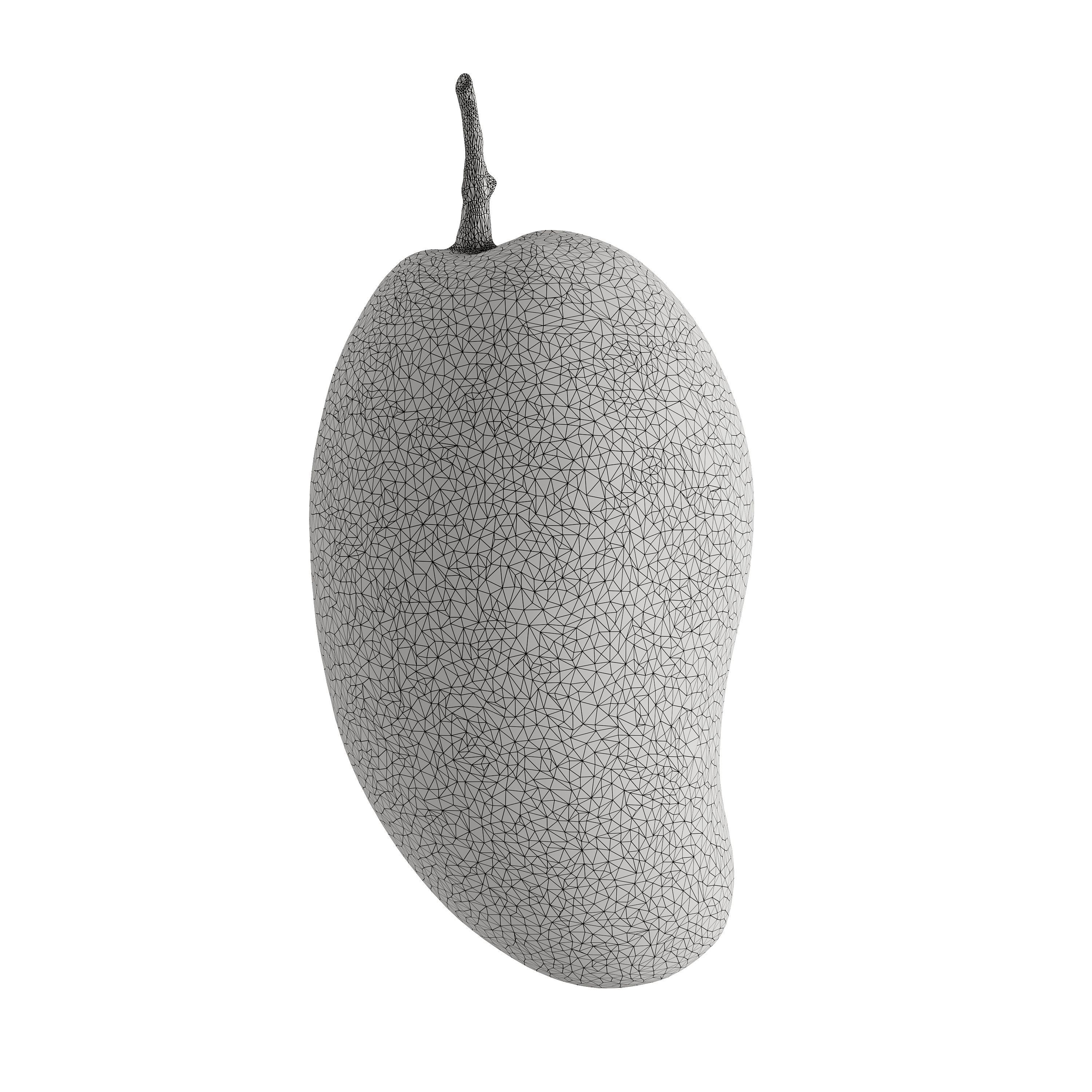 Mango - Mangifera indica  3D model_7