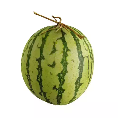 Watermelon - Photogrammetry 