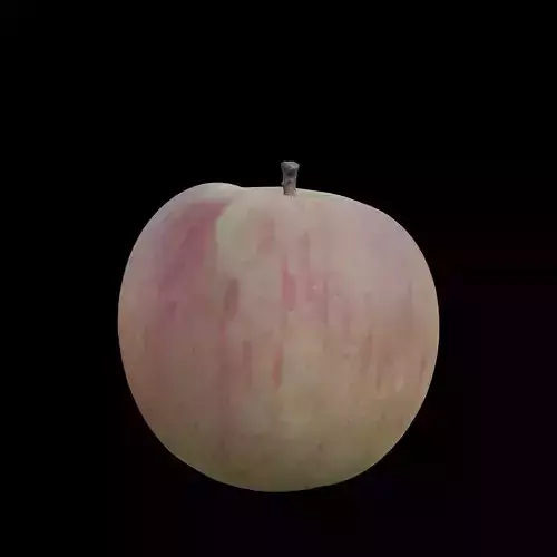 Apple 1 3D model