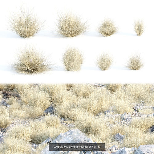 Grass for wild landscape collection vol 12 3D Model Pack 2