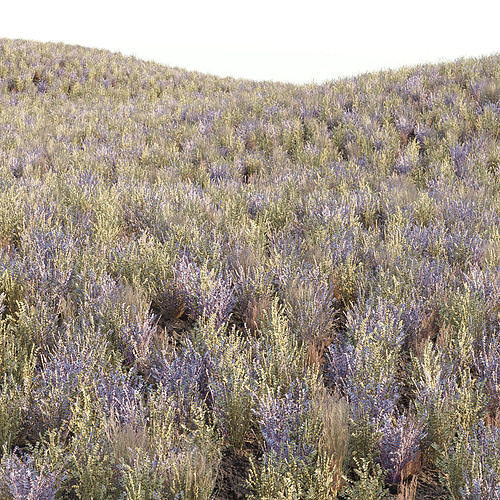 Grass for wild landscape collection vol 12 3D Model Pack 5